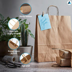 NationwidePaper 50 Extra Large Brown Paper Bags - Twisted Handles - 30x14x40cm Gift Party Sweet Bags - Damaged Box