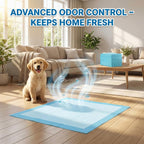 PET'S HUB Dog & Puppy Training Pads - 100 Pack - Super Absorbent, Leak-Proof, Heavy Duty, Anti-Slip Pee Mats 56x56cm - Damaged Box