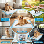 PET'S HUB Dog & Puppy Training Pads - 100 Pack - Super Absorbent, Leak-Proof, Heavy Duty, Anti-Slip Pee Mats 56x56cm - Damaged Box