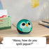 Amazon Alexa Echo Dot Kids WiFi Bluetooth Speaker 5th Generation Owl Amazon