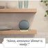 Amazon Echo Dot 4th Gen Smart Speaker with Alexa – Compact & Powerful The Outlet Shop