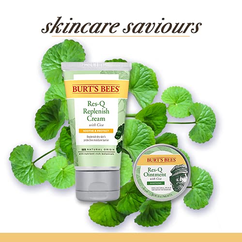 Burt's Bees 100% Natural Multipurpose Res-Q Ointment and Cream, Twin Pack