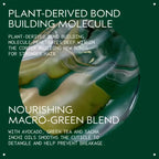 Aveda Botanical Repair Bond-Building Styling Creme | Hair Cream Helps Repair Damaged Hair | Smooths Frizz for Up to 72 Hours | Heat Protectant - Newt Aveda
