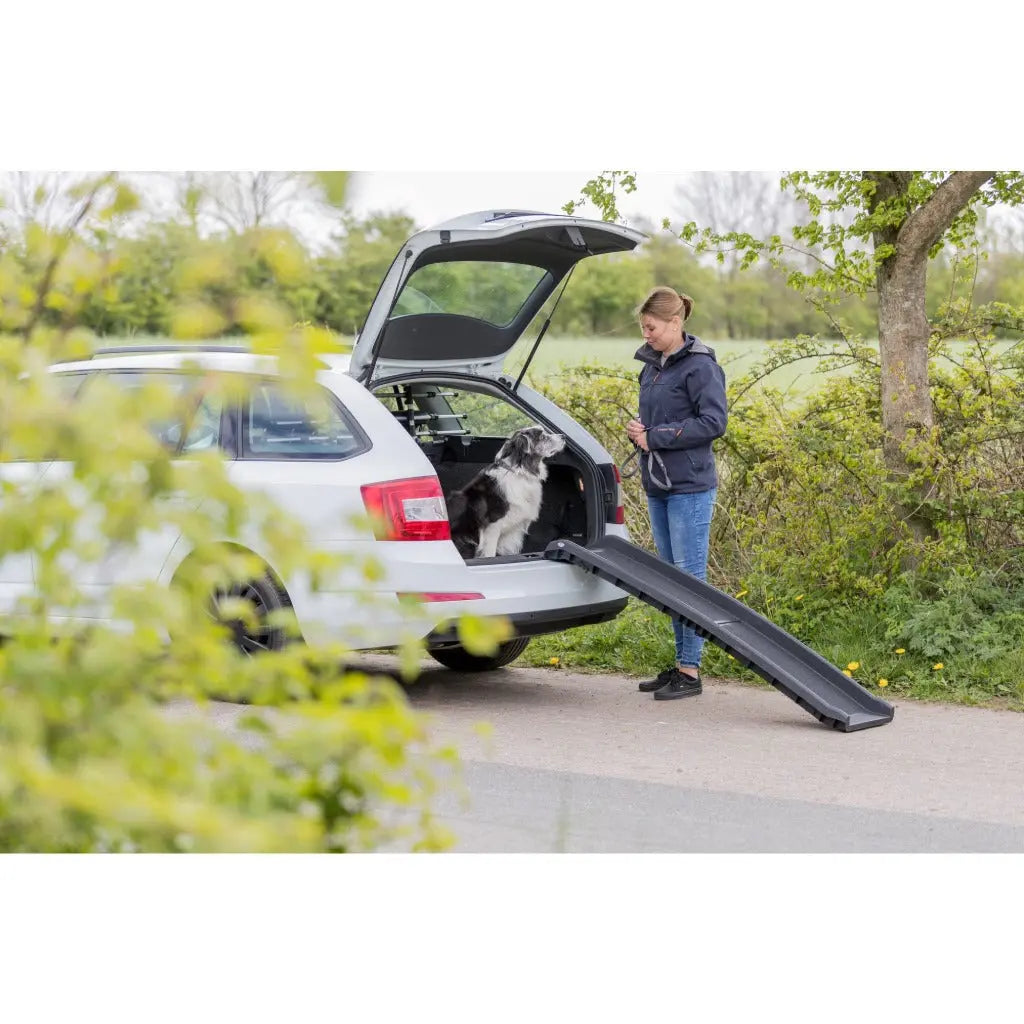 TRIXIE folding ramp for dogs - facilitates access to the boot - walking surface with sandpaper coating - 40 x 156 cm - width of walking surface: 33 cm - up to 90 kg - black - 3939 - Very Good TRIXIE