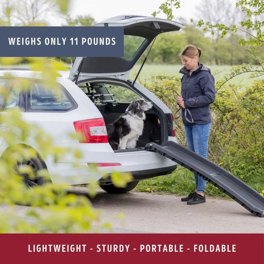 TRIXIE folding ramp for dogs - facilitates access to the boot - walking surface with sandpaper coating - 40 x 156 cm - width of walking surface: 33 cm - up to 90 kg - black - 3939 - Very Good TRIXIE