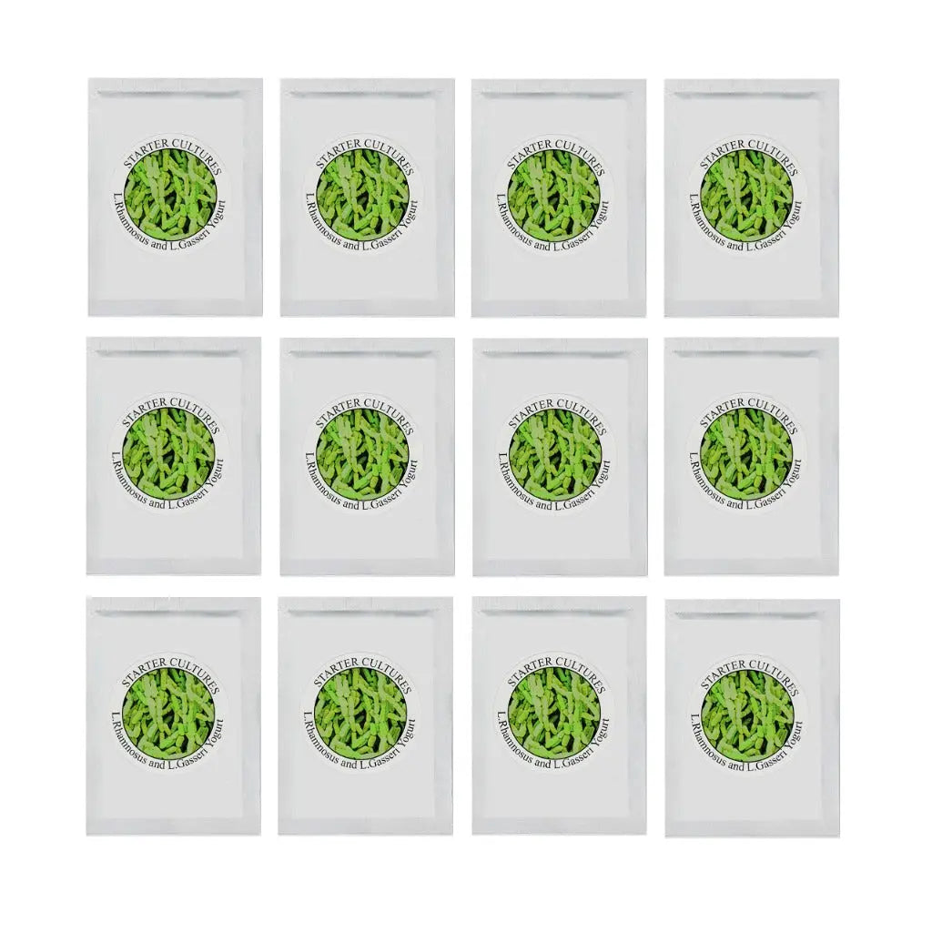 Yogurt Starter Cultures - Pack of 12 Freeze-Dried Sachets for Lactobacillus Rhamnosus and L.Gasseri Yogurt (12 sachets Pack) - Damaged Box Natural Probiotic Selection