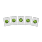 Yogurt Starter Cultures - Pack of 12 Freeze-Dried Sachets for Lactobacillus Rhamnosus and L.Gasseri Yogurt (12 sachets Pack) - Damaged Box Natural Probiotic Selection