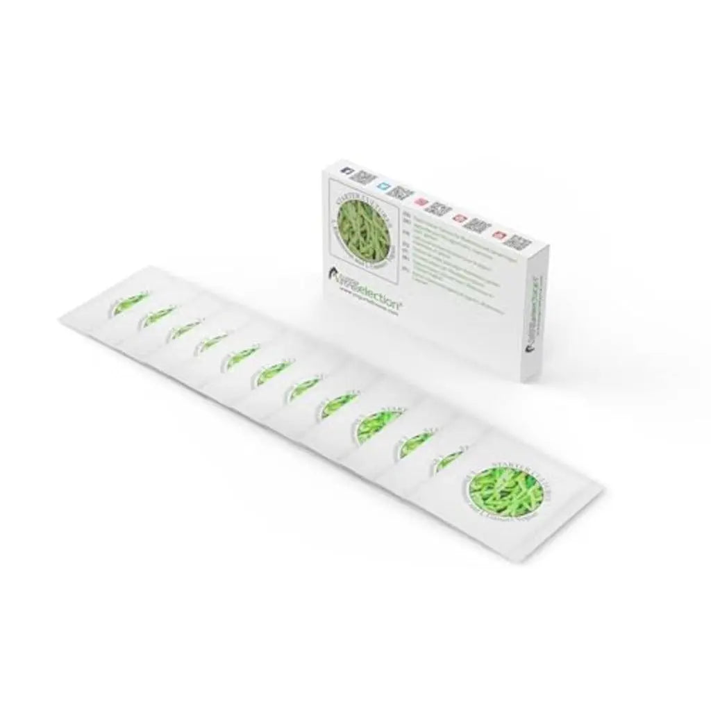 Yogurt Starter Cultures - Pack of 12 Freeze-Dried Sachets for Lactobacillus Rhamnosus and L.Gasseri Yogurt (12 sachets Pack) - Damaged Box Natural Probiotic Selection