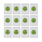 Yogurt Starter Cultures - Pack of 12 Freeze-Dried Sachets for Lactobacillus Rhamnosus and L.Gasseri Yogurt (12 sachets Pack) - Damaged Box Natural Probiotic Selection