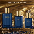DAVIDOFF Cool Elixir - Parfum Intense for Him - Woody Fragrance with Notes of Rose Oxide, Lavandin and Oud Accord - High Longevity - 100ml - Very Good