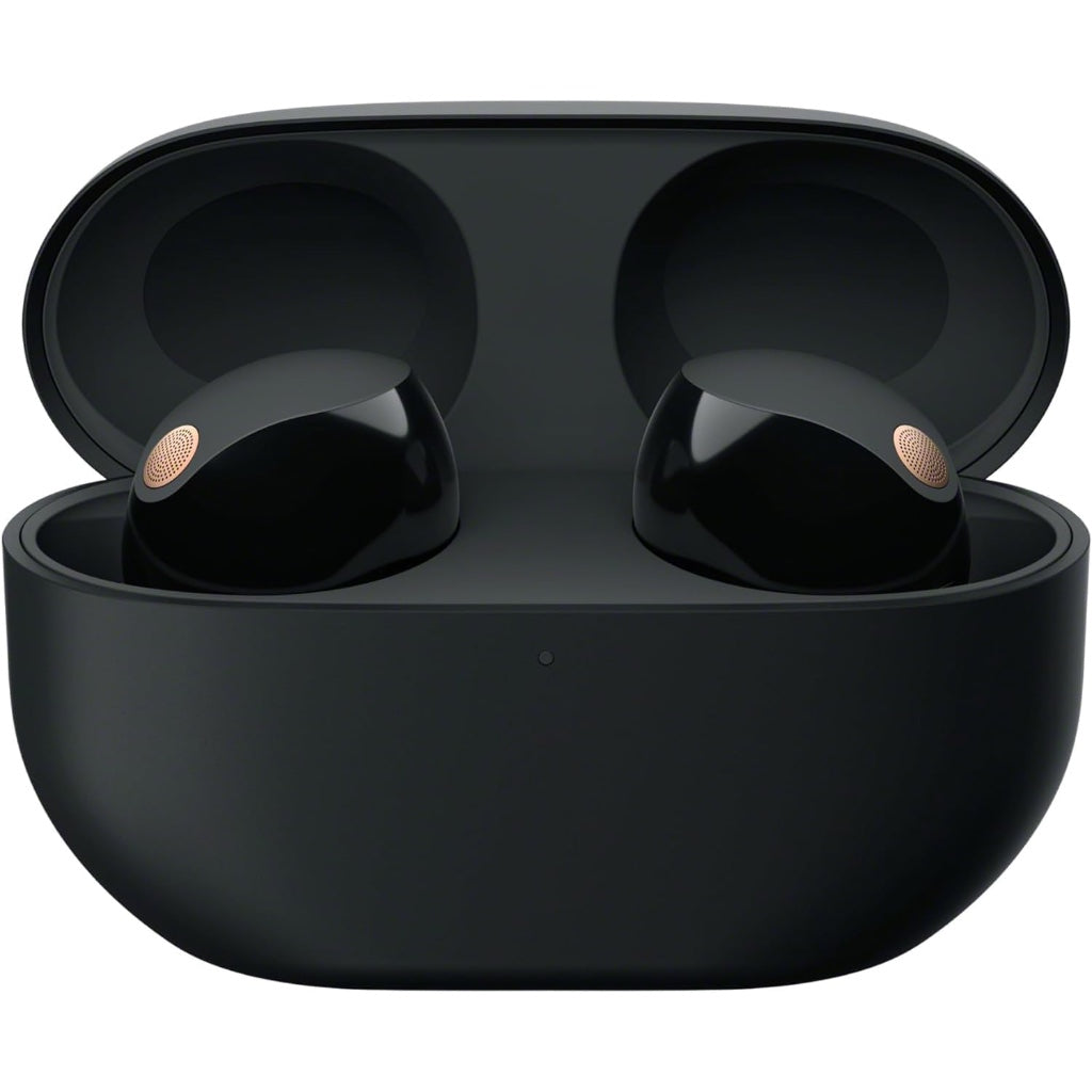 Sony WF-1000XM5 True Wireless Noise Cancelling Earbuds Bluetooth In-Ear Headphones with Mic and Alexa Built-in Black - Damaged Box