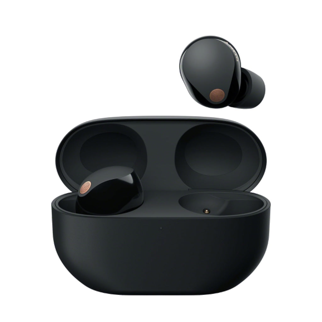 Sony WF-1000XM5 True Wireless Noise Cancelling Earbuds Bluetooth In-Ear Headphones with Mic and Alexa Built-in Black - Damaged Box