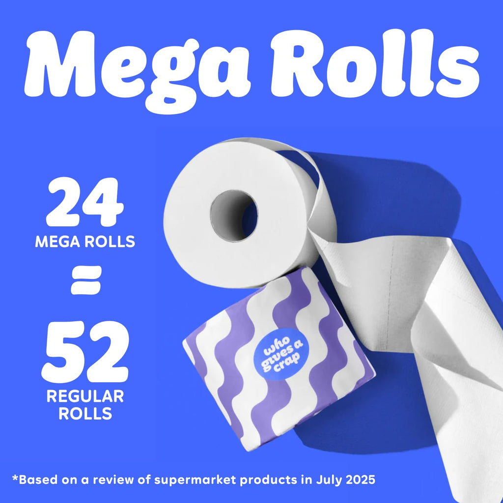 Who Gives A Crap 100% Recycled Toilet Roll Box of 24 Rolls 3-Ply 400 Sheets Eco Friendly Sustainable Bathroom Tissue Double Length Rolls - Damaged Box