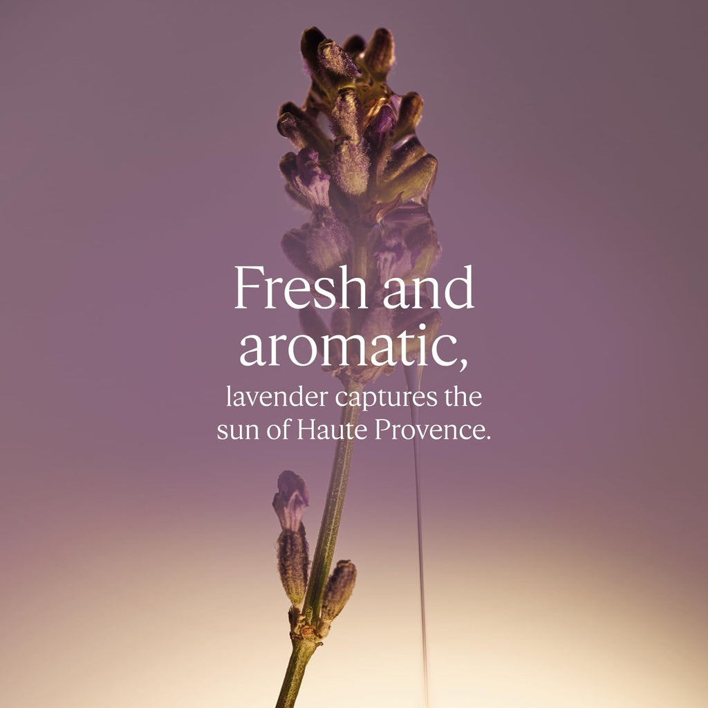 L'OCCITANE - Lavender (Lavande) Liquid Hand Soap Refill - 500 ml - All skin types - Made in France - Damaged Box
