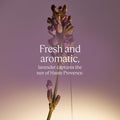 L'OCCITANE - Lavender (Lavande) Liquid Hand Soap Refill - 500 ml - All skin types - Made in France - Damaged Box