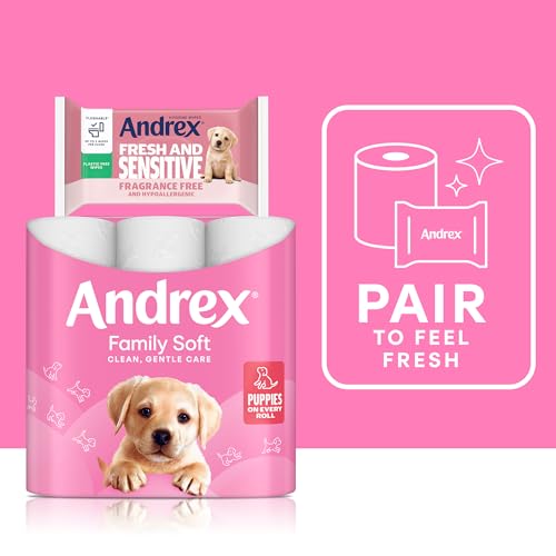 Andrex Fresh and Sensitive Hygiene Wipes 12 Pack - Flushable Moist Toilet Tissue - Hypoallergenic Fragrance Free Wet Wipes - 360 Sheets