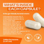 Bio-Kult Everyday Multi-Strain Formulation 120 Capsules - Probiotic Supplement for Digestive System and Gut Health Support - Pack of 1 - Damaged Box - BBE 11/2026