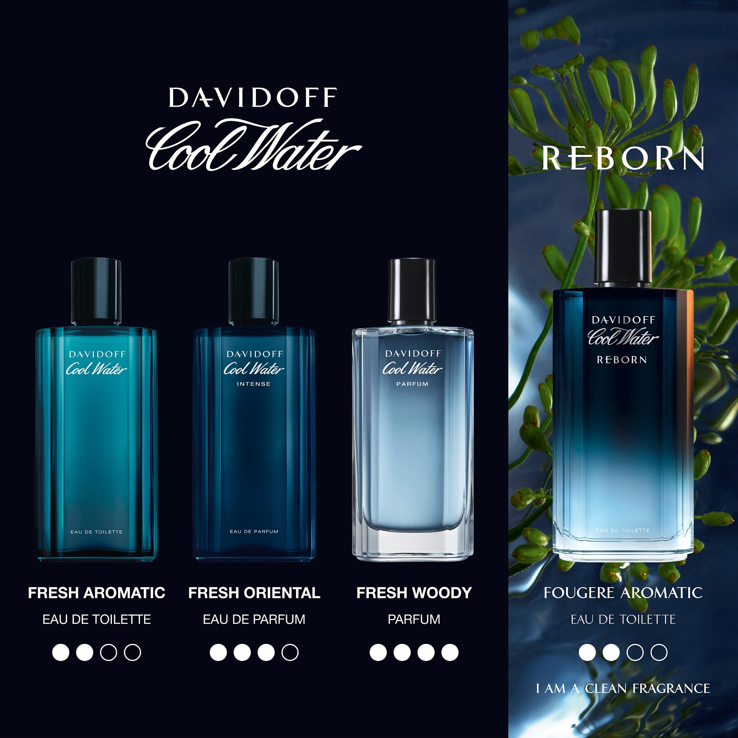 Davidoff Cool Water Intense Eau de Parfum for Men 75ml Spray Oriental Fragrance with Green Mandarin Coconut Water and Amber Accord