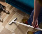 Joseph Joseph CleanTech 3-Piece Pet Hair Removal Tool Set, Manual Rake for Carpets and Upholstery with Extension Pole, Grey and Blue - Very Good