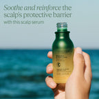 L'OCCITANE Scalp Night Serum 50ml, Leave-In Overnight Scalp Treatment for Stronger, Healthier Hair, With Essential Oils, Luxury & Clean Beauty Haircare for All Hair Types - Damaged Box
