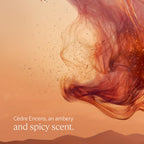 L'OCCITANE - C`edre Encens (formerly Baux) Shower Gel - 250 ml - Spicy, woody and ambered fragrance - Made in France - Damaged Box