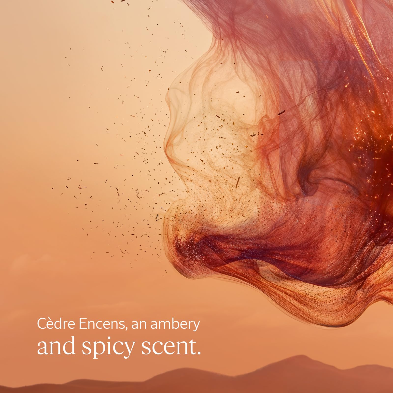 L'OCCITANE - C`edre Encens (formerly Baux) Shower Gel - 250 ml - Spicy, woody and ambered fragrance - Made in France - Damaged Box