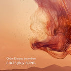 L'OCCITANE - C`edre Encens (formerly Baux) Shower Gel - 250 ml - Spicy, woody and ambered fragrance - Made in France - Damaged Box