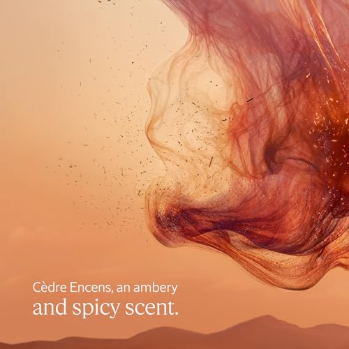 L'OCCITANE - C`edre Encens (formerly Baux) Shower Gel - 250 ml - Spicy, woody and ambered fragrance - Made in France - Damaged Box
