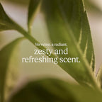 L'OCCITANE - Verbena (Verveine) Eau de Toilette - 100 ml - Zesty and refreshing fragrance - Made in France
