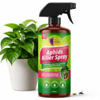 Aphids Killer Spray 500ml - Insecticidal Soap Spray for Plants - Kills Greenfly, Blackfly, Whiteflies, Fungus Gnats and Other Pests - Ideal for Indoor & Outdoor Use on Fruits, Vegetables and Flowers - BBE 03/2028