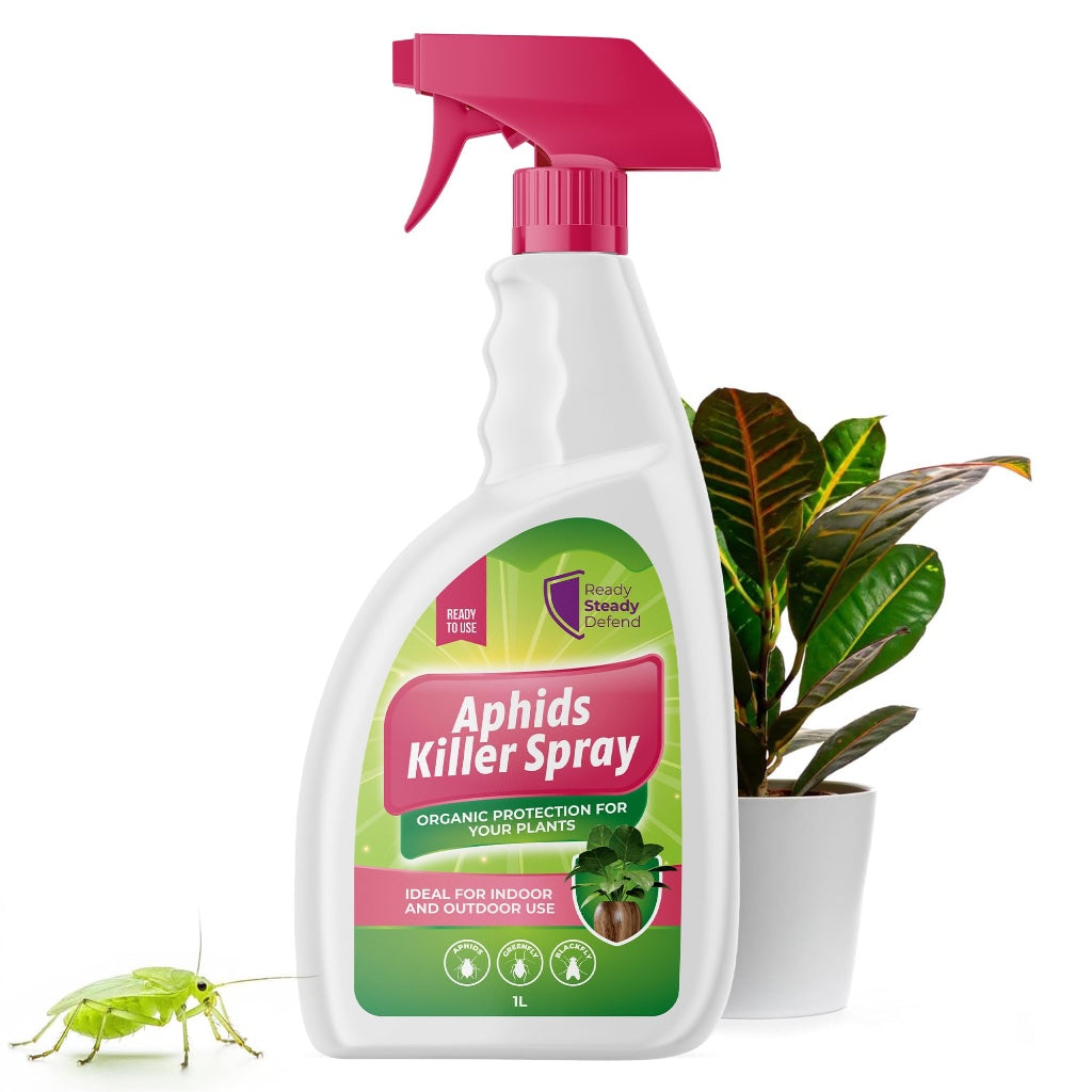 Aphids Killer Spray 500ml - Insecticidal Soap Spray for Plants - Kills Greenfly, Blackfly, Whiteflies, Fungus Gnats and Other Pests - Ideal for Indoor & Outdoor Use on Fruits, Vegetables and Flowers - BBE 03/2028