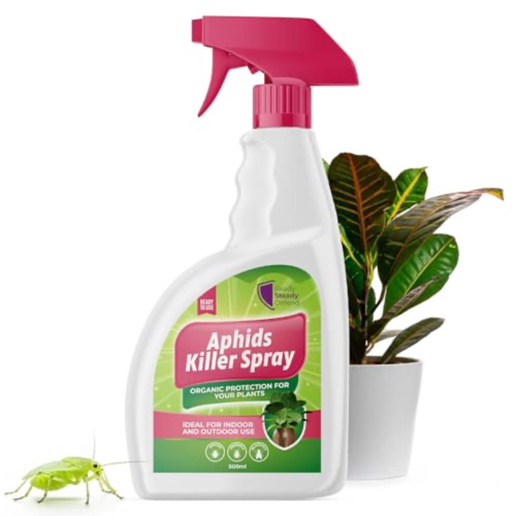 Aphids Killer Spray 500ml - Insecticidal Soap Spray for Plants - Kills Greenfly, Blackfly, Whiteflies, Fungus Gnats and Other Pests - Ideal for Indoor & Outdoor Use on Fruits, Vegetables and Flowers - BBE 03/2028