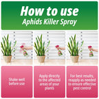 Aphids Killer Spray 500ml - Insecticidal Soap Spray for Plants - Kills Greenfly, Blackfly, Whiteflies, Fungus Gnats and Other Pests - Ideal for Indoor & Outdoor Use on Fruits, Vegetables and Flowers - BBE 03/2028