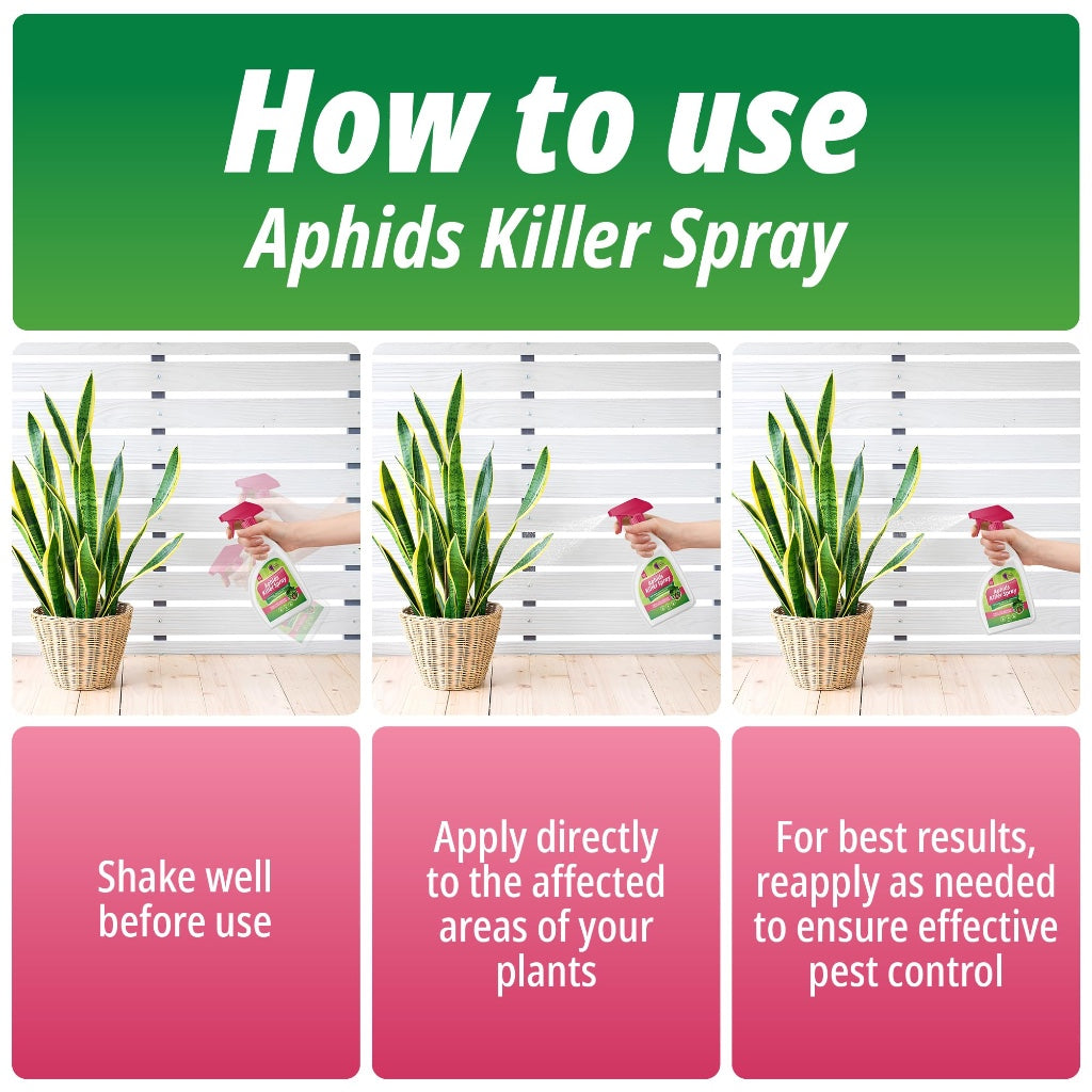 Aphids Killer Spray 500ml - Insecticidal Soap Spray for Plants - Kills Greenfly, Blackfly, Whiteflies, Fungus Gnats and Other Pests - Ideal for Indoor & Outdoor Use on Fruits, Vegetables and Flowers - BBE 03/2028