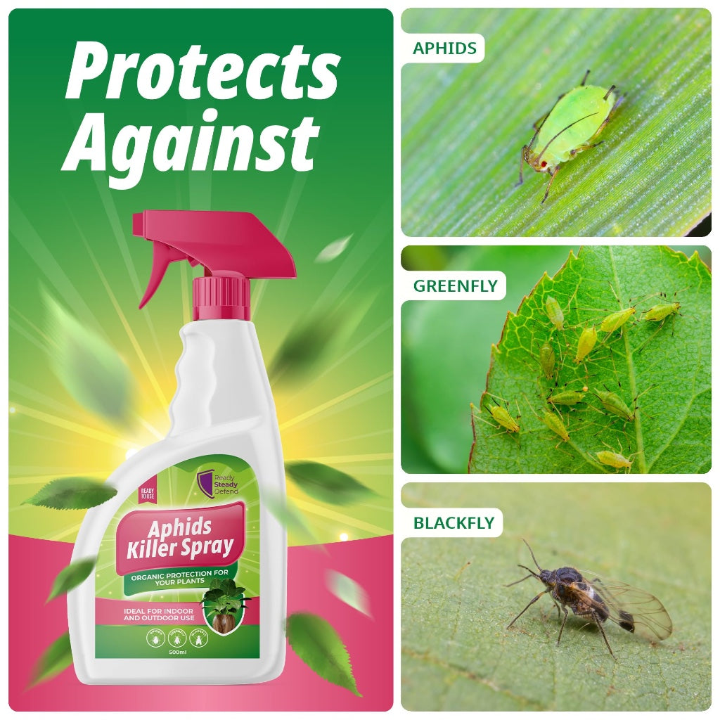 Aphids Killer Spray 500ml - Insecticidal Soap Spray for Plants - Kills Greenfly, Blackfly, Whiteflies, Fungus Gnats and Other Pests - Ideal for Indoor & Outdoor Use on Fruits, Vegetables and Flowers - BBE 03/2028