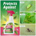 Aphids Killer Spray 500ml - Insecticidal Soap Spray for Plants - Kills Greenfly, Blackfly, Whiteflies, Fungus Gnats and Other Pests - Ideal for Indoor & Outdoor Use on Fruits, Vegetables and Flowers - BBE 03/2028