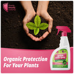 Aphids Killer Spray 500ml - Insecticidal Soap Spray for Plants - Kills Greenfly, Blackfly, Whiteflies, Fungus Gnats and Other Pests - Ideal for Indoor & Outdoor Use on Fruits, Vegetables and Flowers - BBE 03/2028