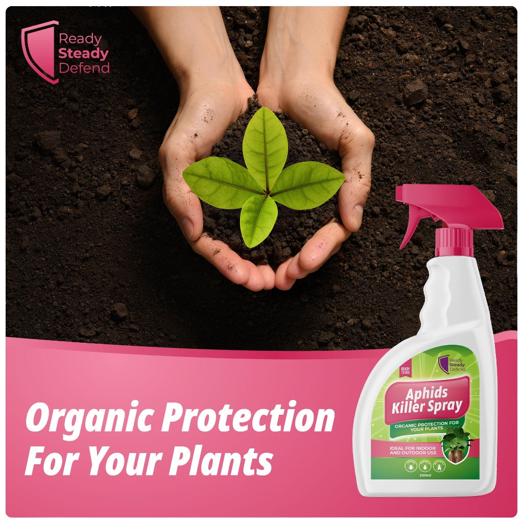 Aphids Killer Spray 500ml - Insecticidal Soap Spray for Plants - Kills Greenfly, Blackfly, Whiteflies, Fungus Gnats and Other Pests - Ideal for Indoor & Outdoor Use on Fruits, Vegetables and Flowers - BBE 03/2028