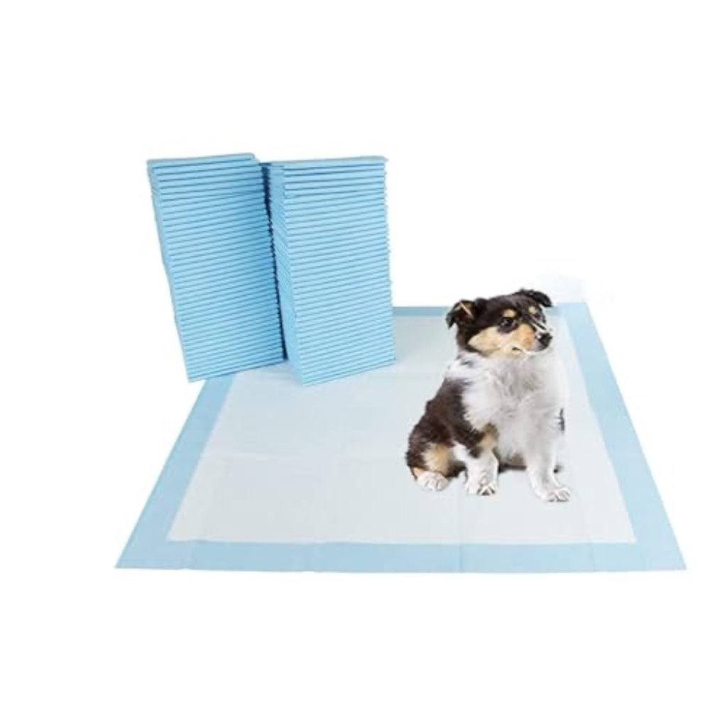 Bargain Factory - Pet Potty Training Pads Pack of 50 for Dogs Puppy Pads - Super-Absorbent 5 Layers Waterproof - 56 x 56 cm - Disposable Puppy Pee Pads