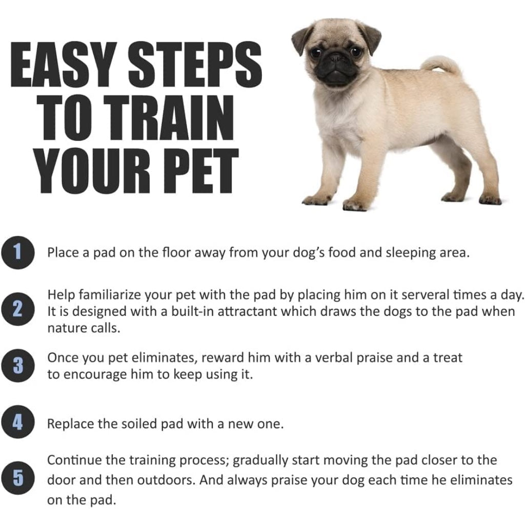 Bargain Factory - Pet Potty Training Pads Pack of 50 for Dogs Puppy Pads - Super-Absorbent 5 Layers Waterproof - 56 x 56 cm - Disposable Puppy Pee Pads