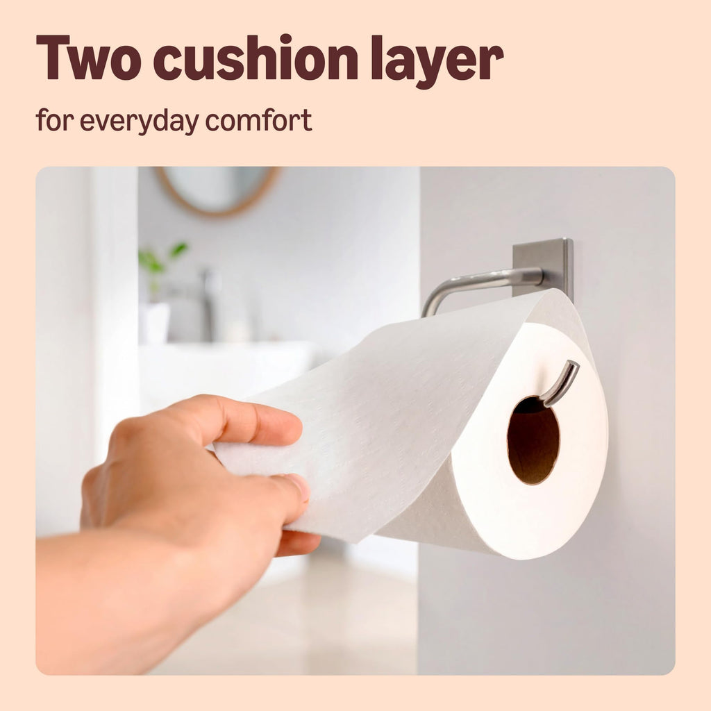Our Essentials by Amazon Toilet Tissue Classic Roll, 2-ply, 24 Rolls (1 Pack of 24), 200 Sheets per Roll - Damaged Box