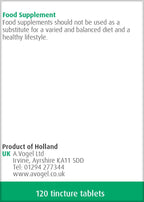 A.Vogel Ginkgo Biloba Tablets | Food Supplement | Extract from Fresh Ginkgo biloba Leaves | Suitable for Vegetarians | 30 Days Supply | 120 Tablets - BBE 02/2029