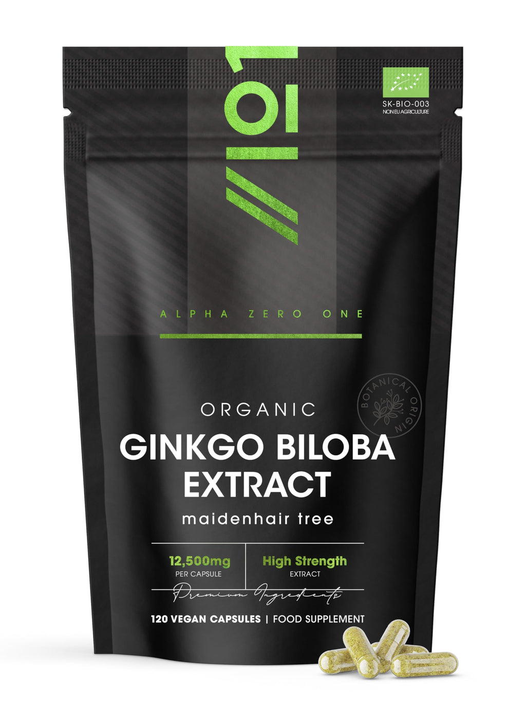 A.Vogel Ginkgo Biloba Tablets | Food Supplement | Extract from Fresh Ginkgo biloba Leaves | Suitable for Vegetarians | 30 Days Supply | 120 Tablets - BBE 02/2029