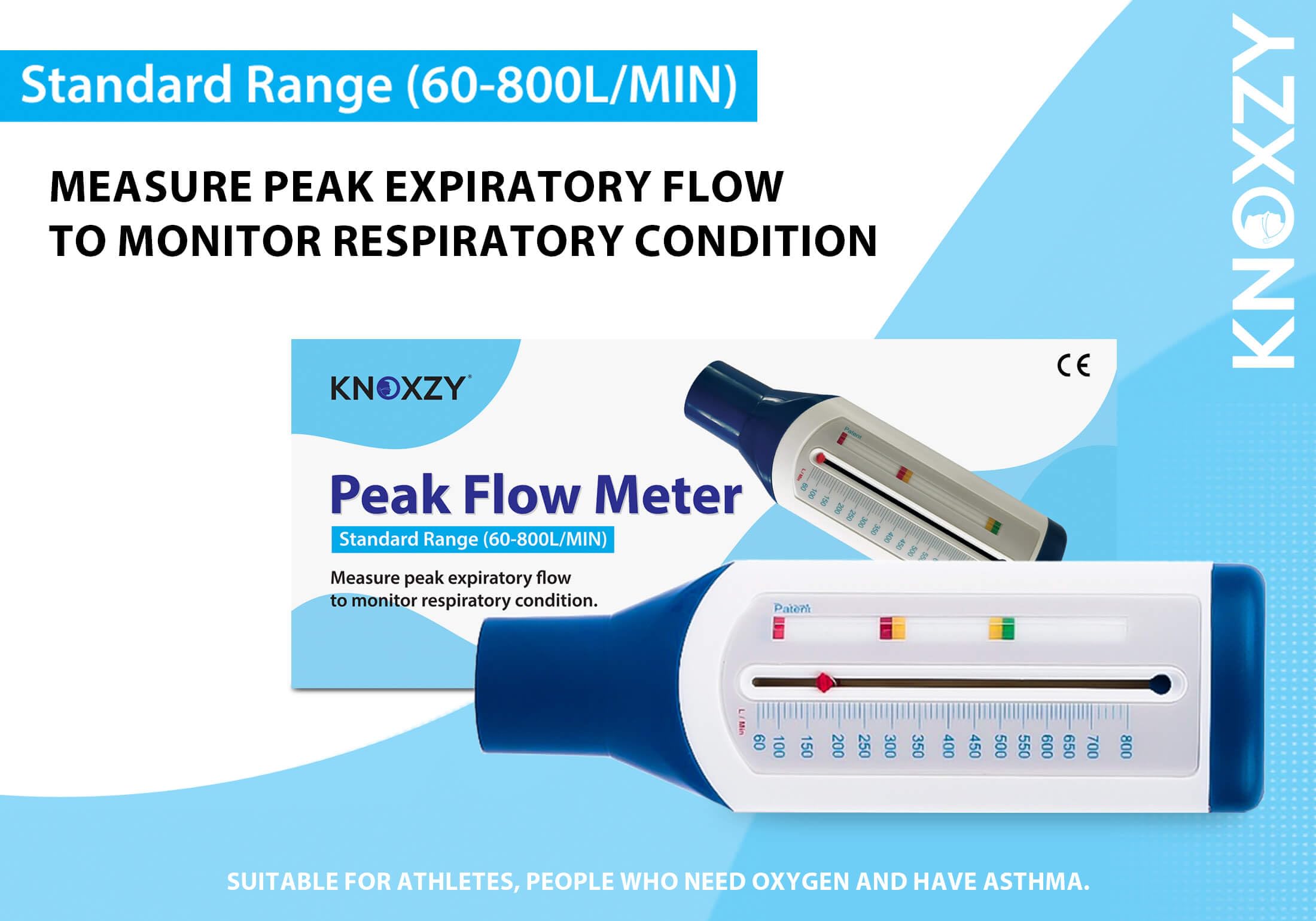 KNOXZY Peak Flow Meter for Adult to Monitor Lung Function - Expiratory Flow Meter to Monitor Respiratory Condition - Spirometry Lung Function Recovery Training Device - Standard Range for Adult - Damaged Box