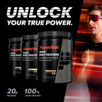 Powerbar - Black Line - Build Whey Protein - Chocolate - 572g - vegetarian protein powder - BBE 05/2026