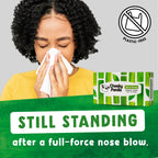 The Cheeky Panda Bamboo Facial Tissues Box Multipack | 12 Boxes of 80 | Silky Soft and Sustainable Bamboo - Like New