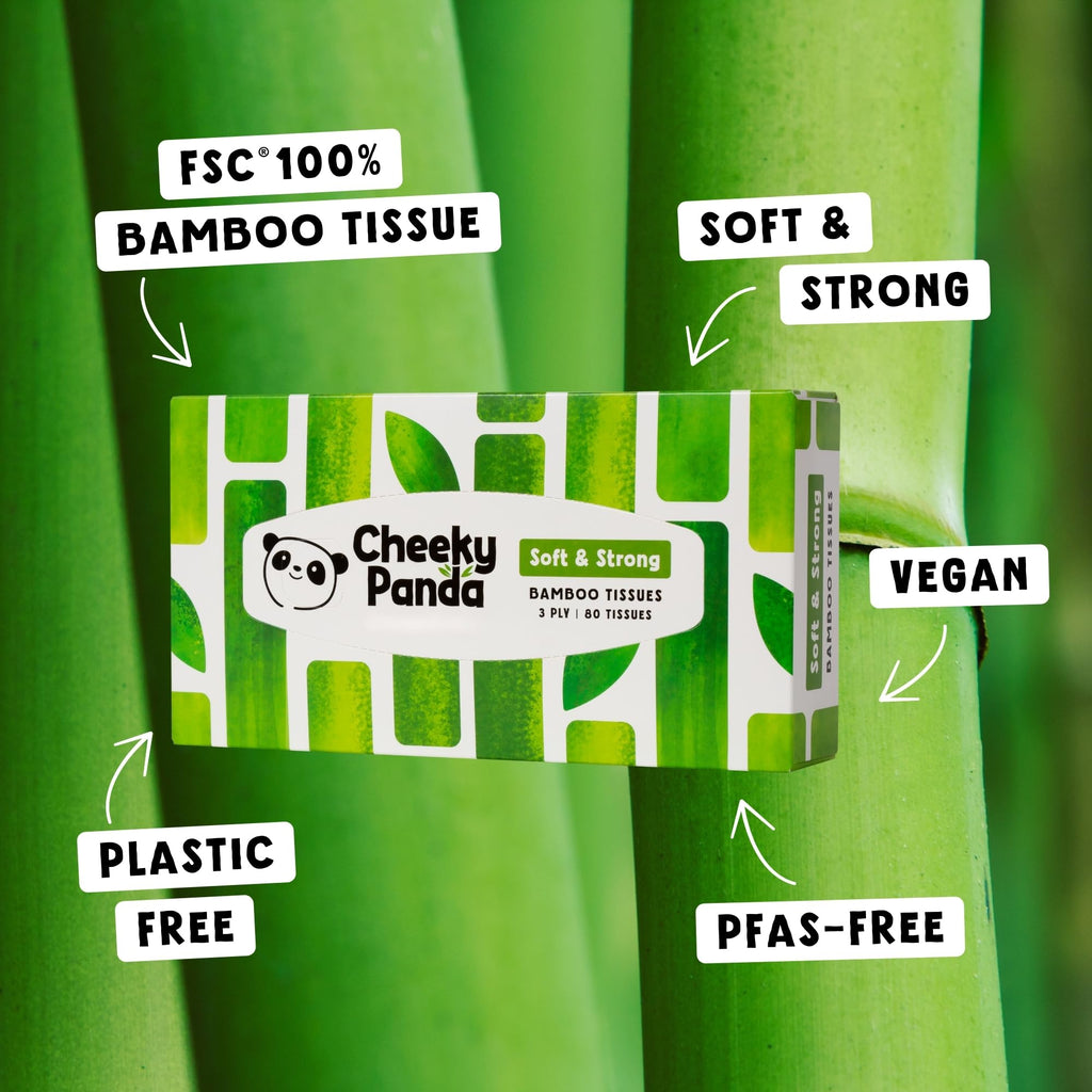 The Cheeky Panda Bamboo Facial Tissues Box Multipack | 12 Boxes of 80 | Silky Soft and Sustainable Bamboo - Like New