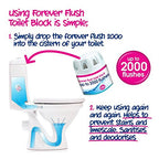 EcoZone Forever Flush 2000 Blue Toilet Blocks, Eco Friendly Alternative to Loo Rim Hangers, Cistern Capsules Clean & Descale WCs, Natural Vegan & Non Toxic Cleaner, Recyclable Plastic (Set of 2)