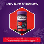 Sambucol Natural Black Elderberry Extra Defence Menthol Gummies |Vitamin A | Vitamin C | Vitamin D | Zinc |Advanced Immune Support Supplement| 30 Gummies - BBE 11/2026