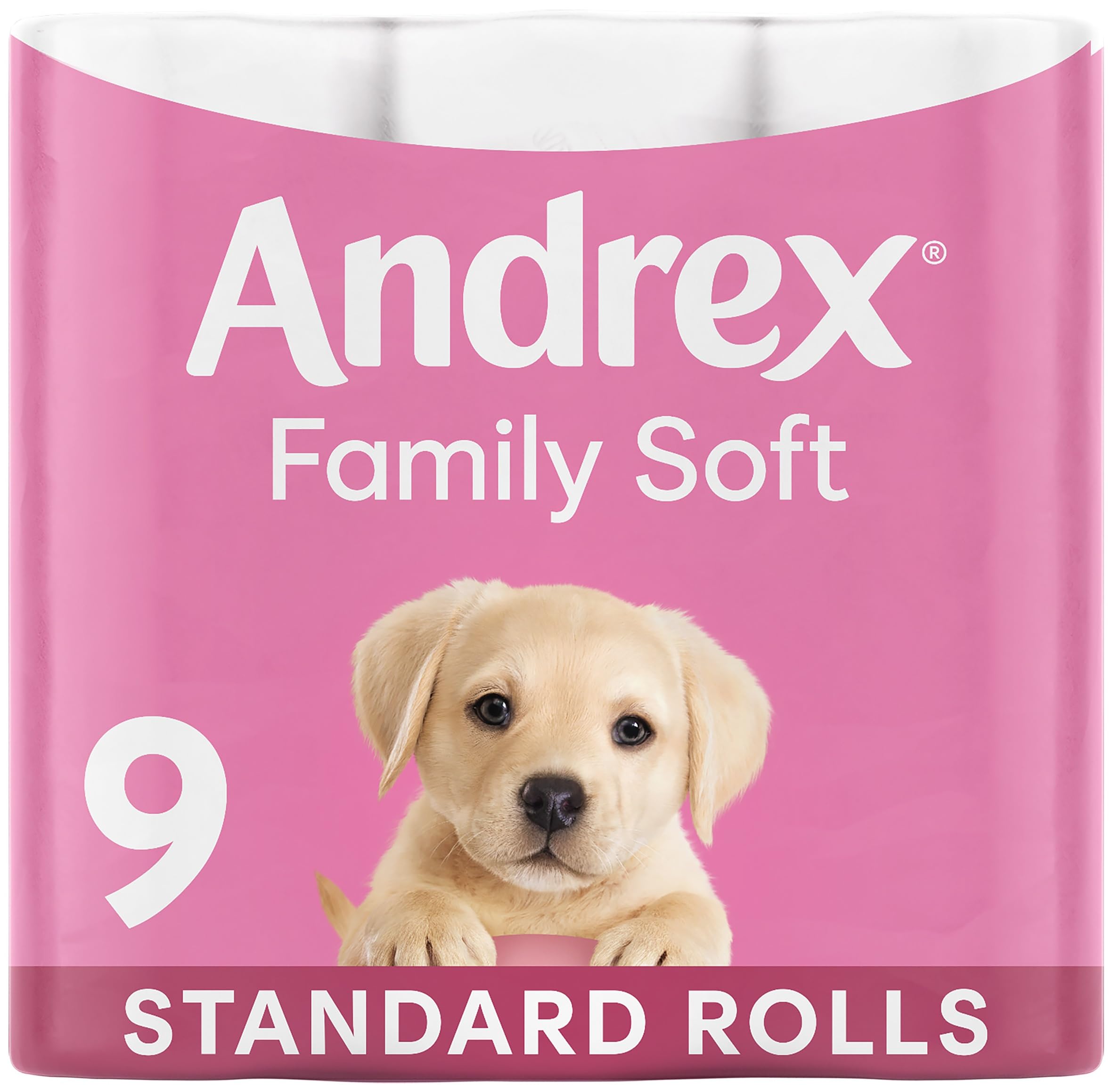 Andrex Family Soft Toilet Roll 45 Pack Bulk Buy Fragrance Free White Bathroom Tissue FSC Certified Paper Rolls